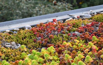 the cost of Wood Row green roof installation