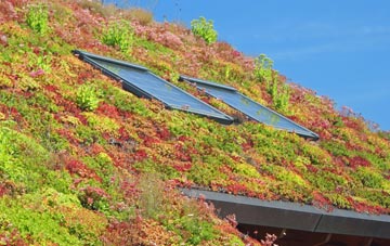 Wood Row living roof systems